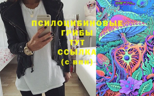 СК Алексин
