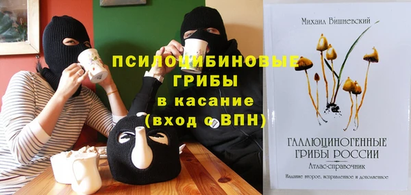 твердый Грязи